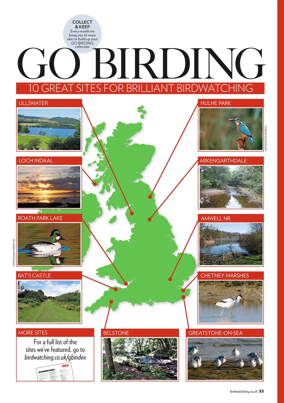 Bird Watching Preview Pages