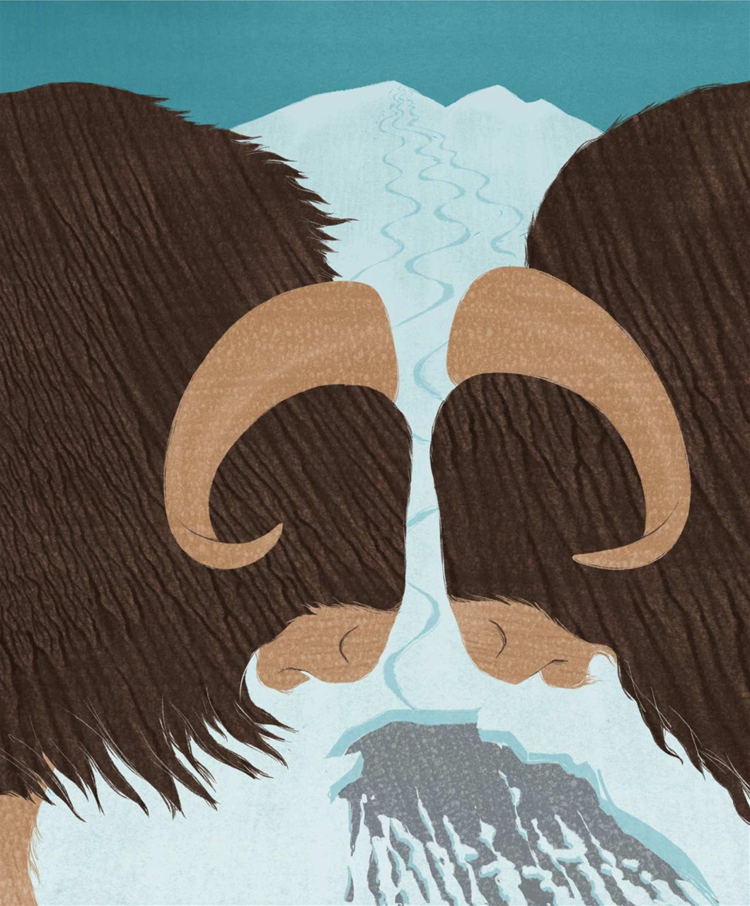 Backcountry Preview Pages