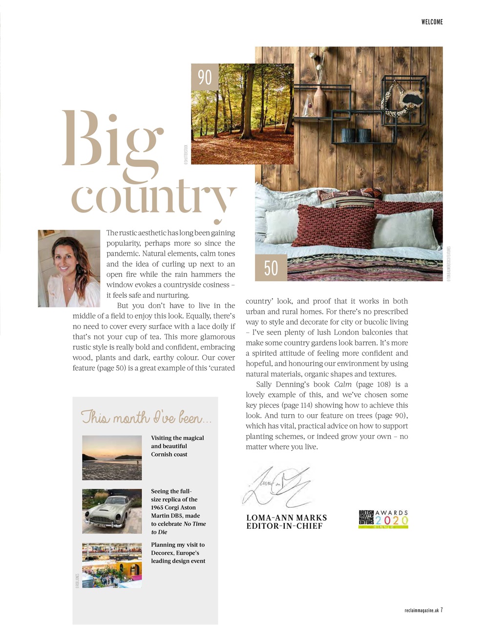 Reclaim Preview Pages