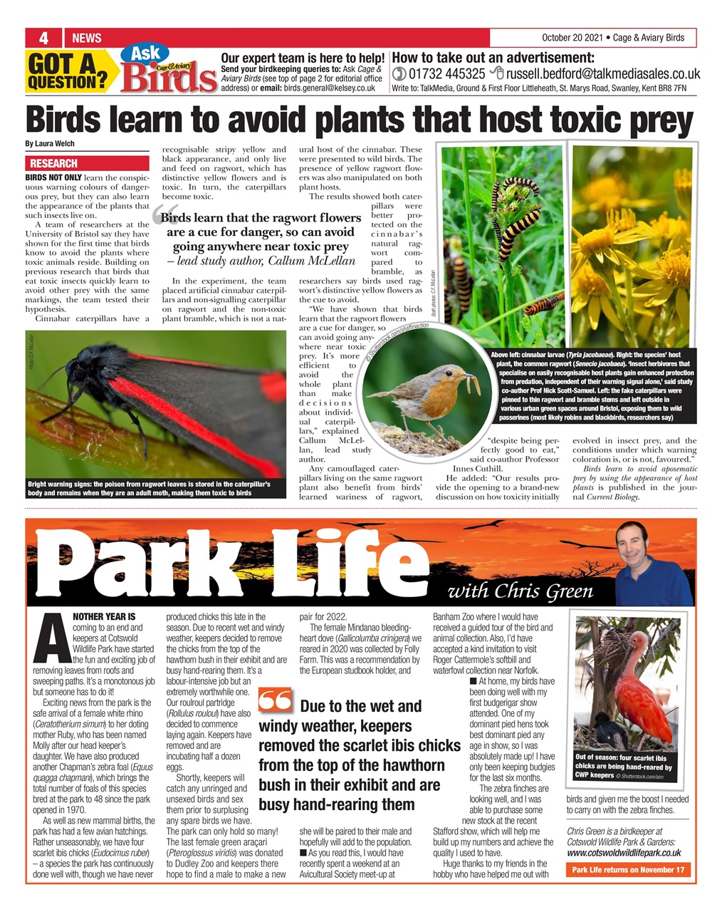 Cage & Aviary Birds Preview Pages