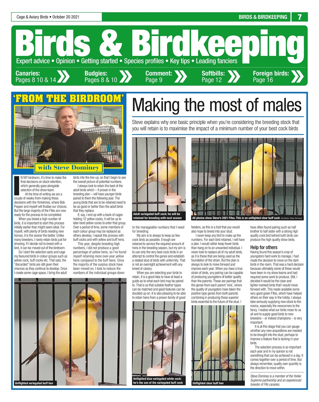 Cage & Aviary Birds Preview Pages