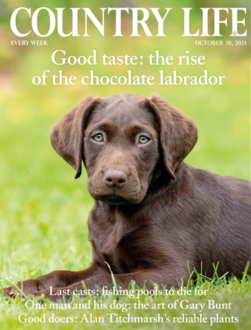 Country Life issue 20-Oct-2021