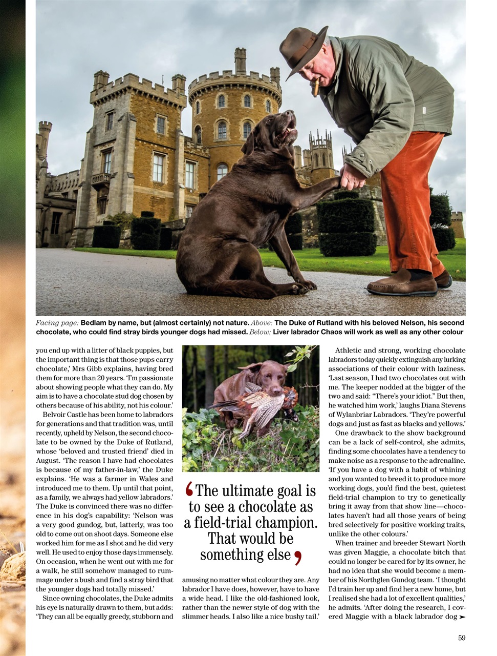 Country Life Preview Pages