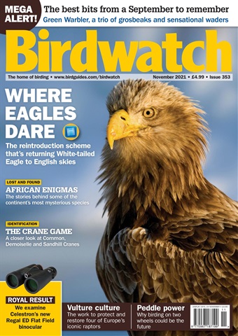 Birdwatch Magazine issue November 2021