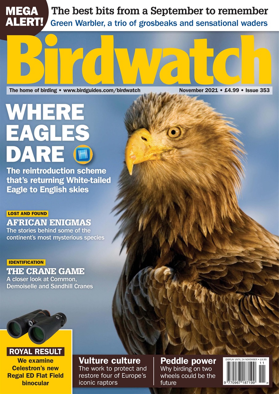 Birdwatch Magazine Preview Pages