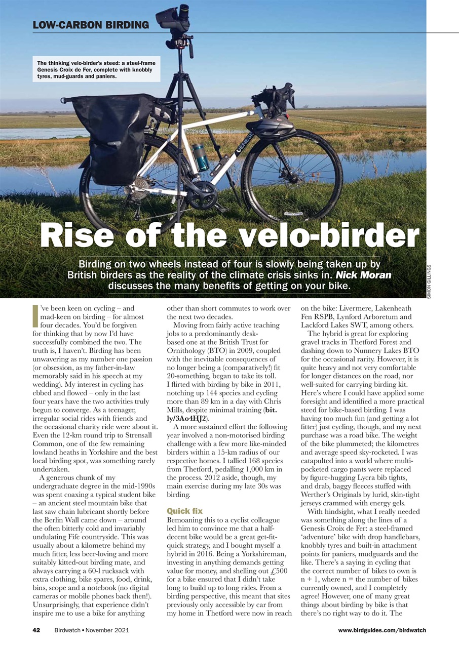 Birdwatch Magazine Preview Pages