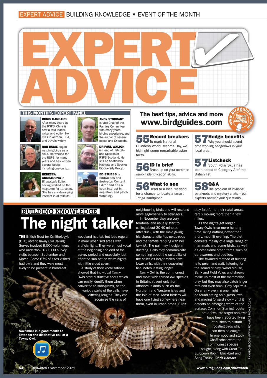 Birdwatch Magazine Preview Pages