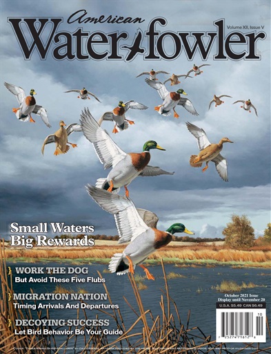 American Waterfowler issue 