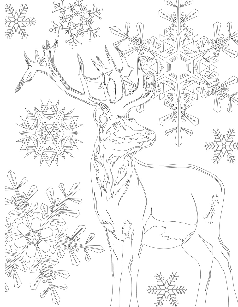 Creative Bookazine Preview Pages