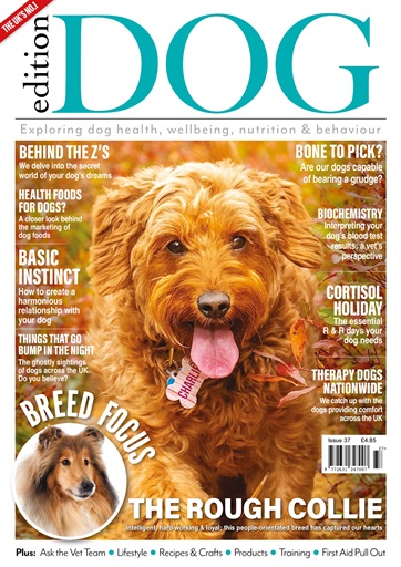 Edition Dog issue 