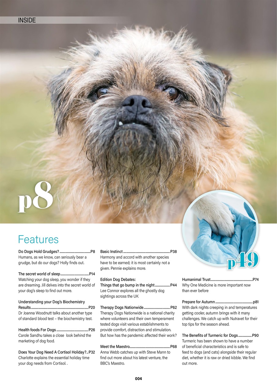 Edition Dog Preview Pages