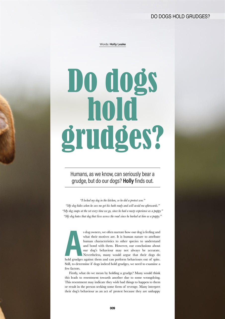 Edition Dog Preview Pages