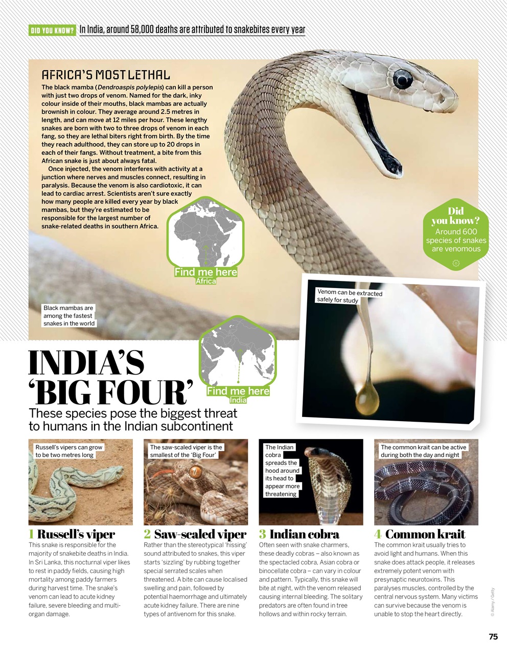 How It Works Preview Pages