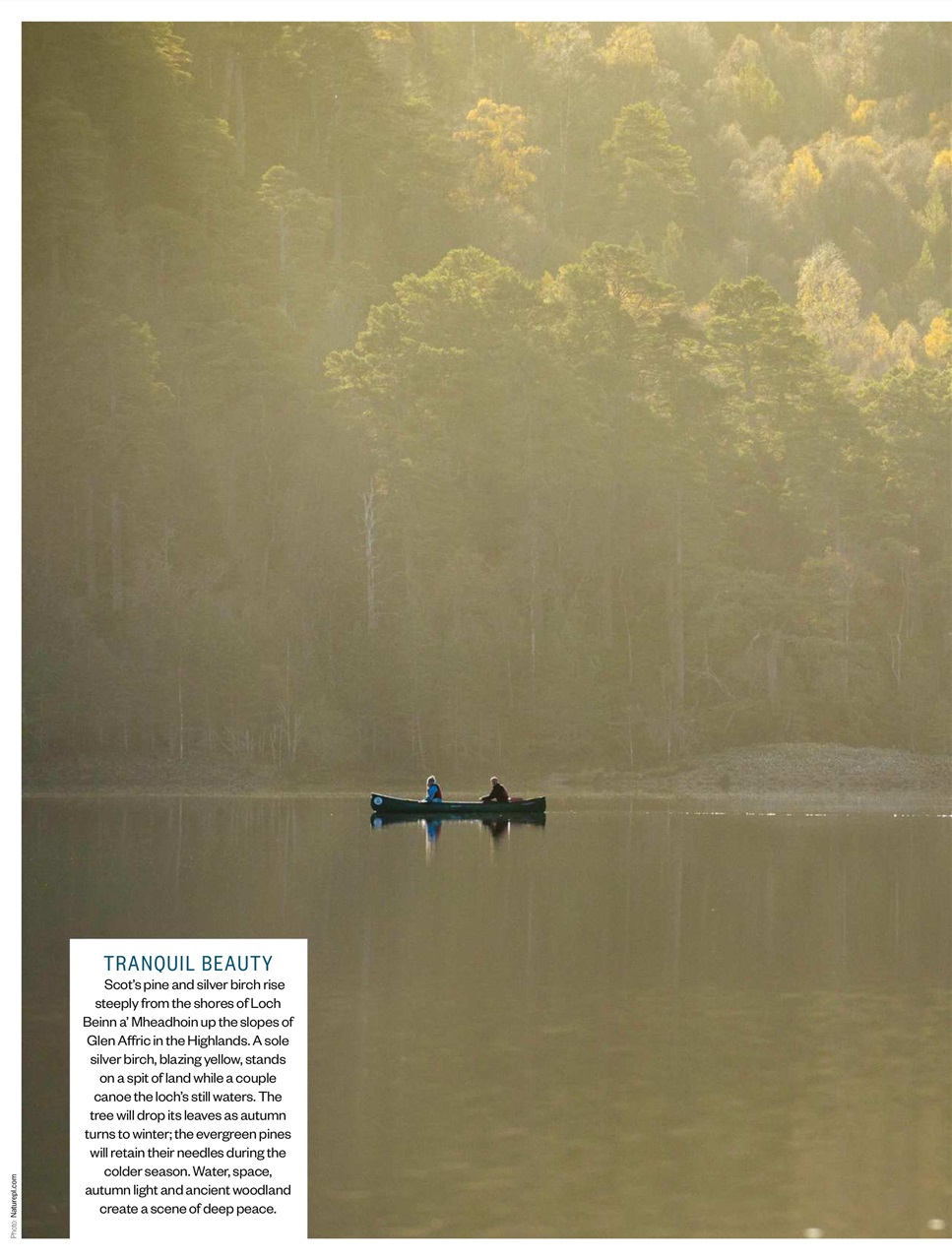 BBC Countryfile Magazine Preview Pages