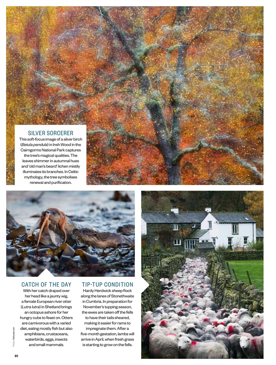 BBC Countryfile Magazine Preview Pages