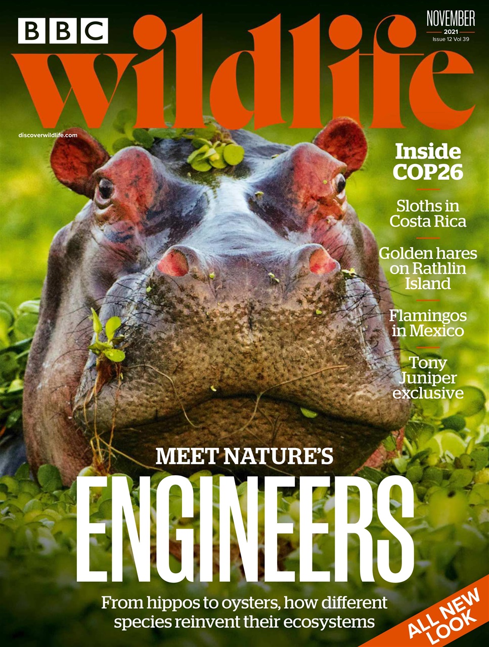 BBC Wildlife Magazine Preview Pages