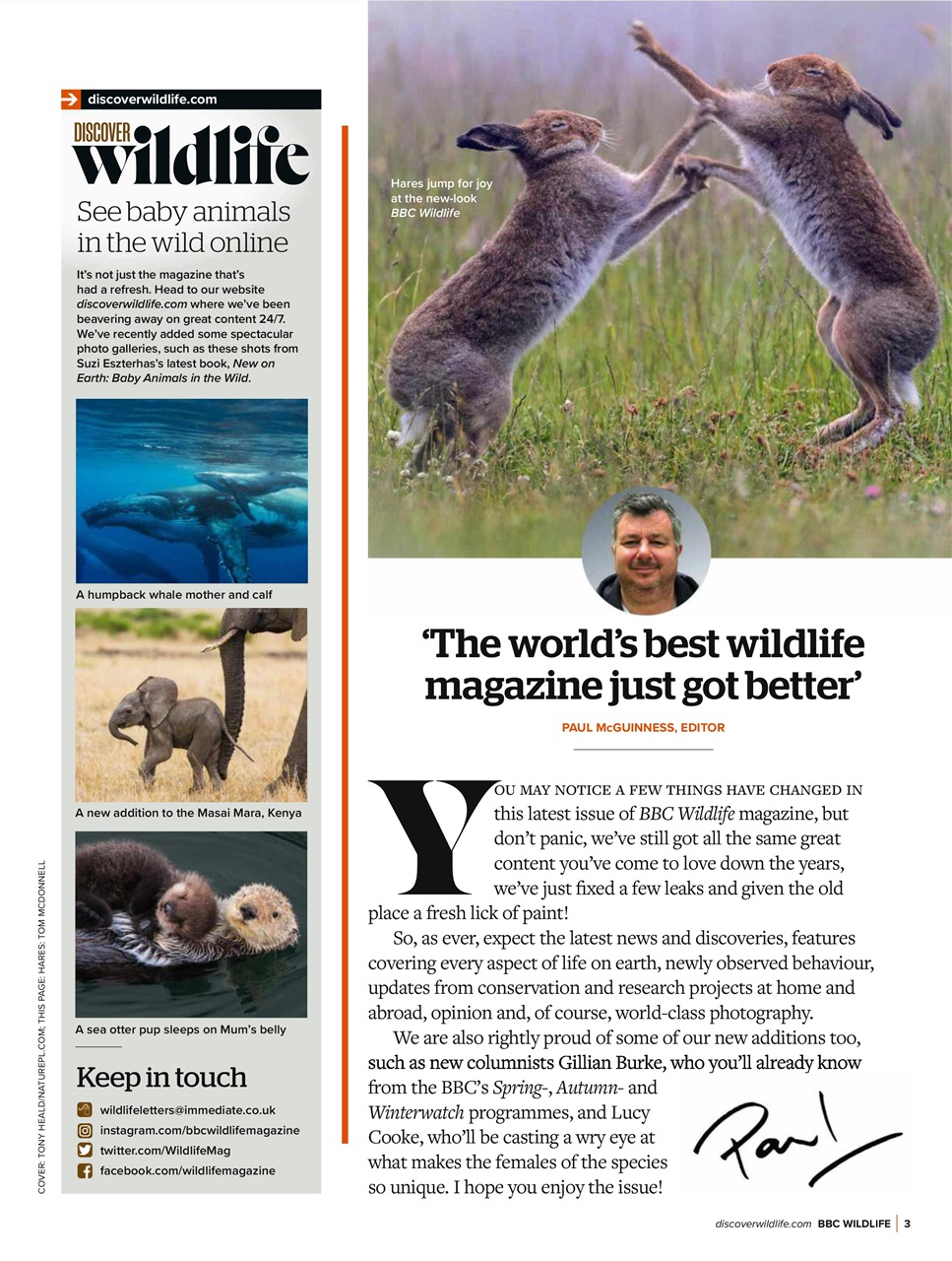 BBC Wildlife Magazine Preview Pages