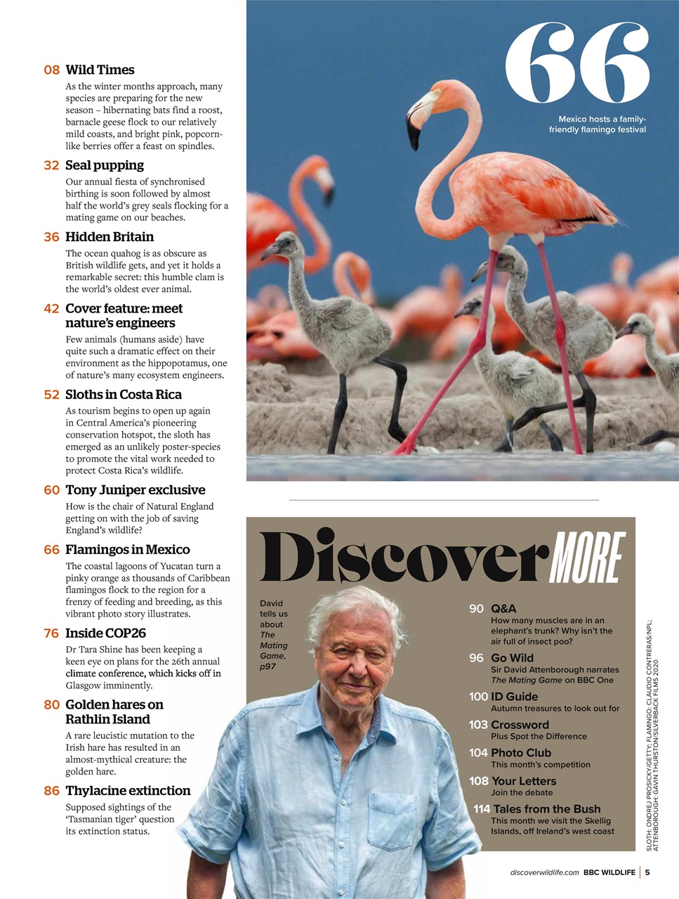 BBC Wildlife Magazine Preview Pages