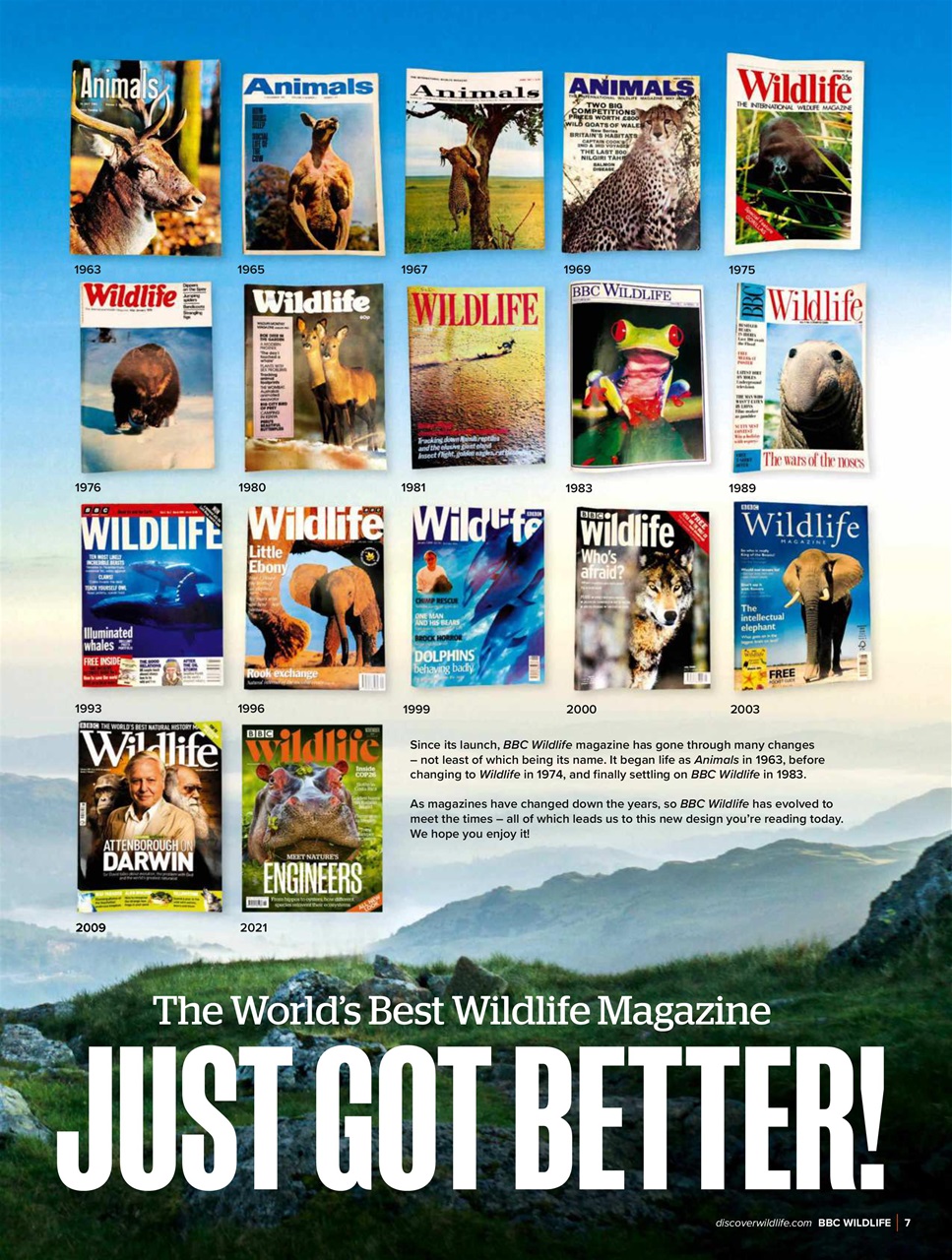 BBC Wildlife Magazine Preview Pages