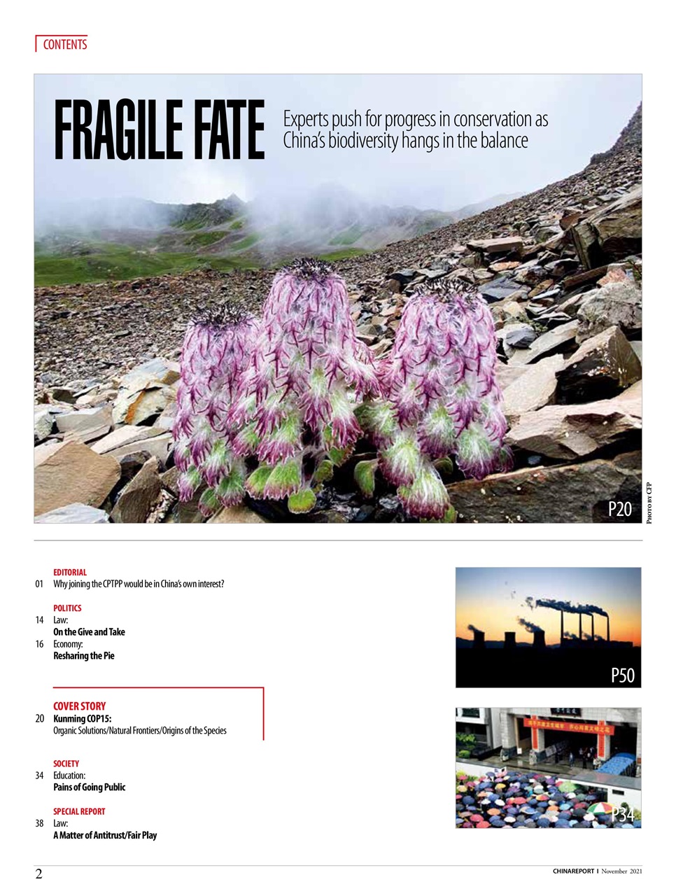 China Report Preview Pages