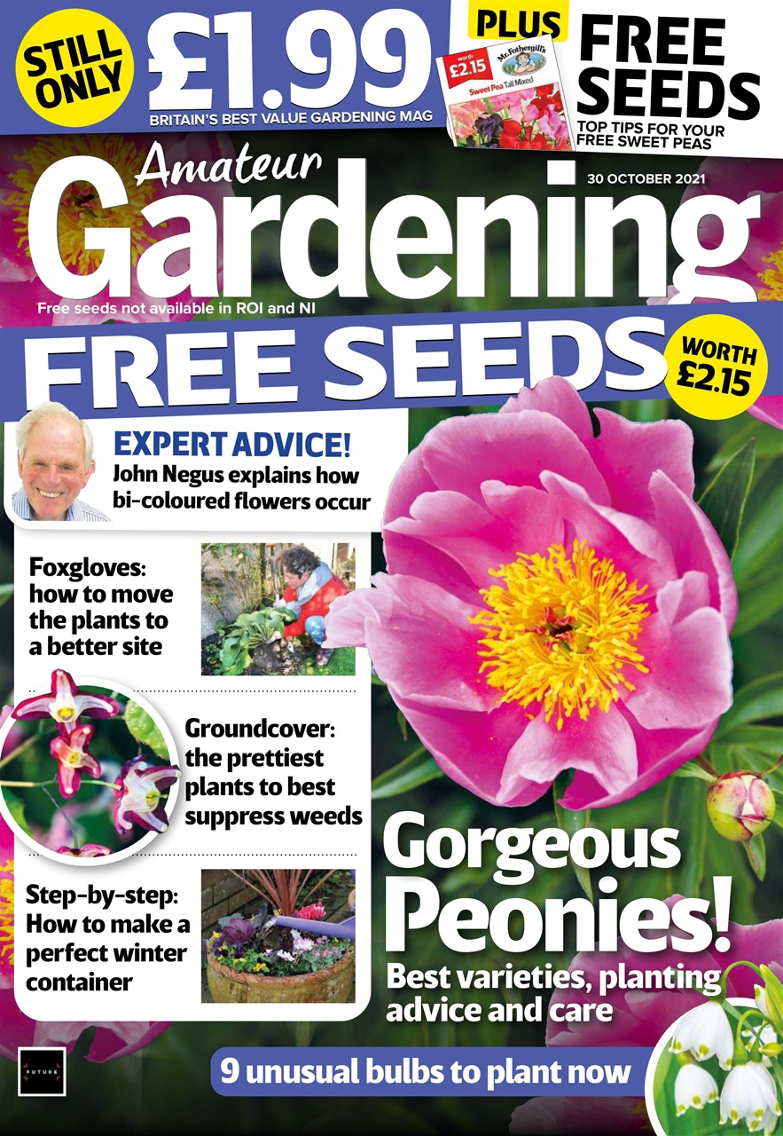 Amateur Gardening Preview Pages
