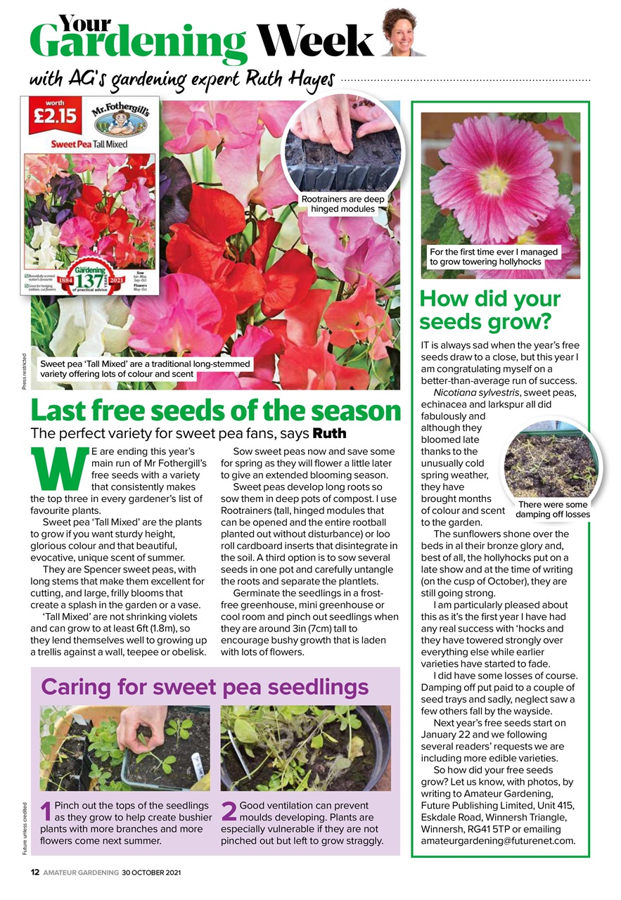 Amateur Gardening Preview Pages