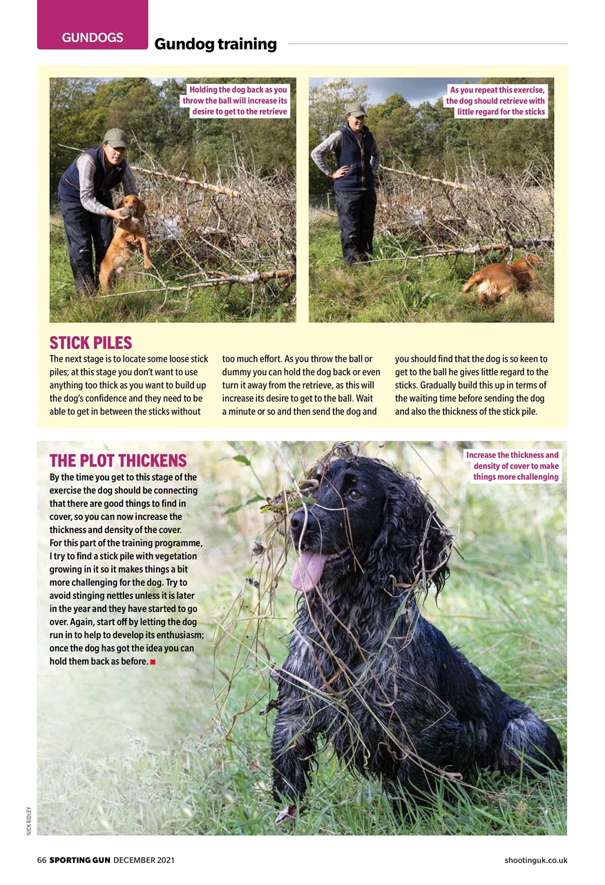 Sporting Gun Preview Pages