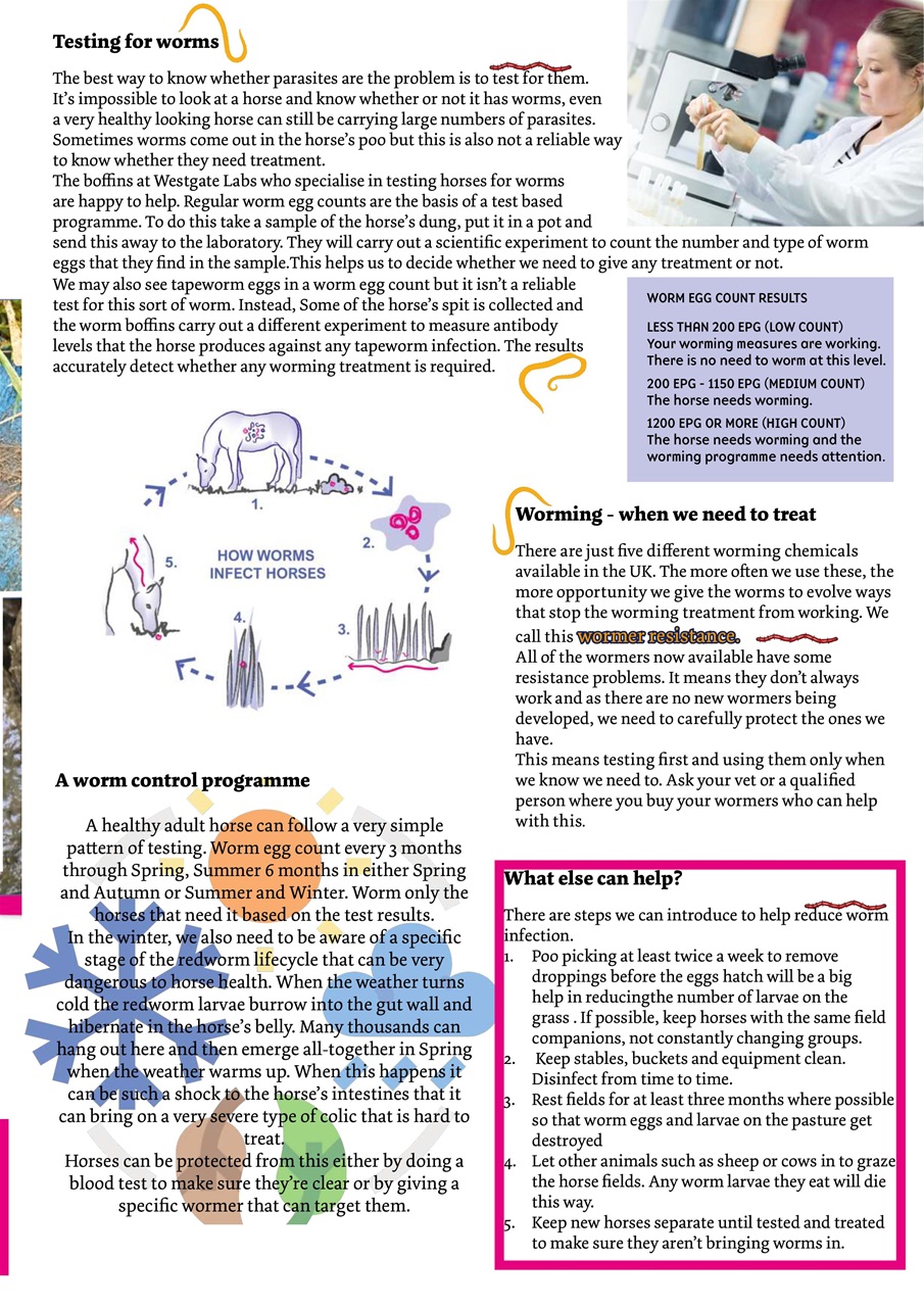 Boys Ride Too Preview Pages