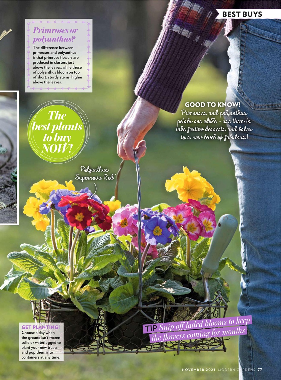 Modern Gardens Preview Pages