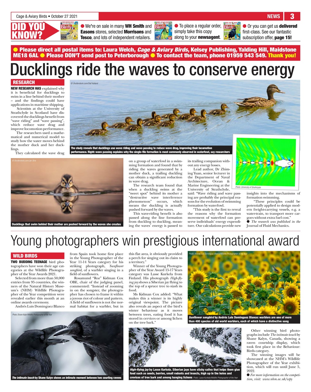 Cage & Aviary Birds Preview Pages