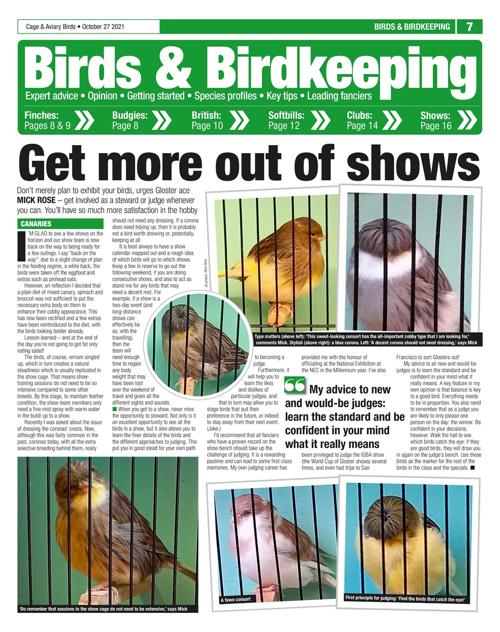 Cage & Aviary Birds Preview Pages