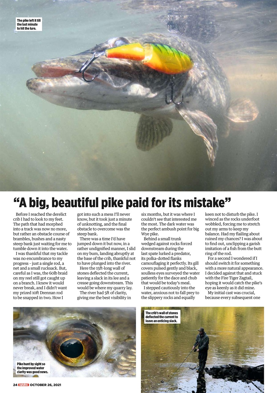 Angling Times Preview Pages