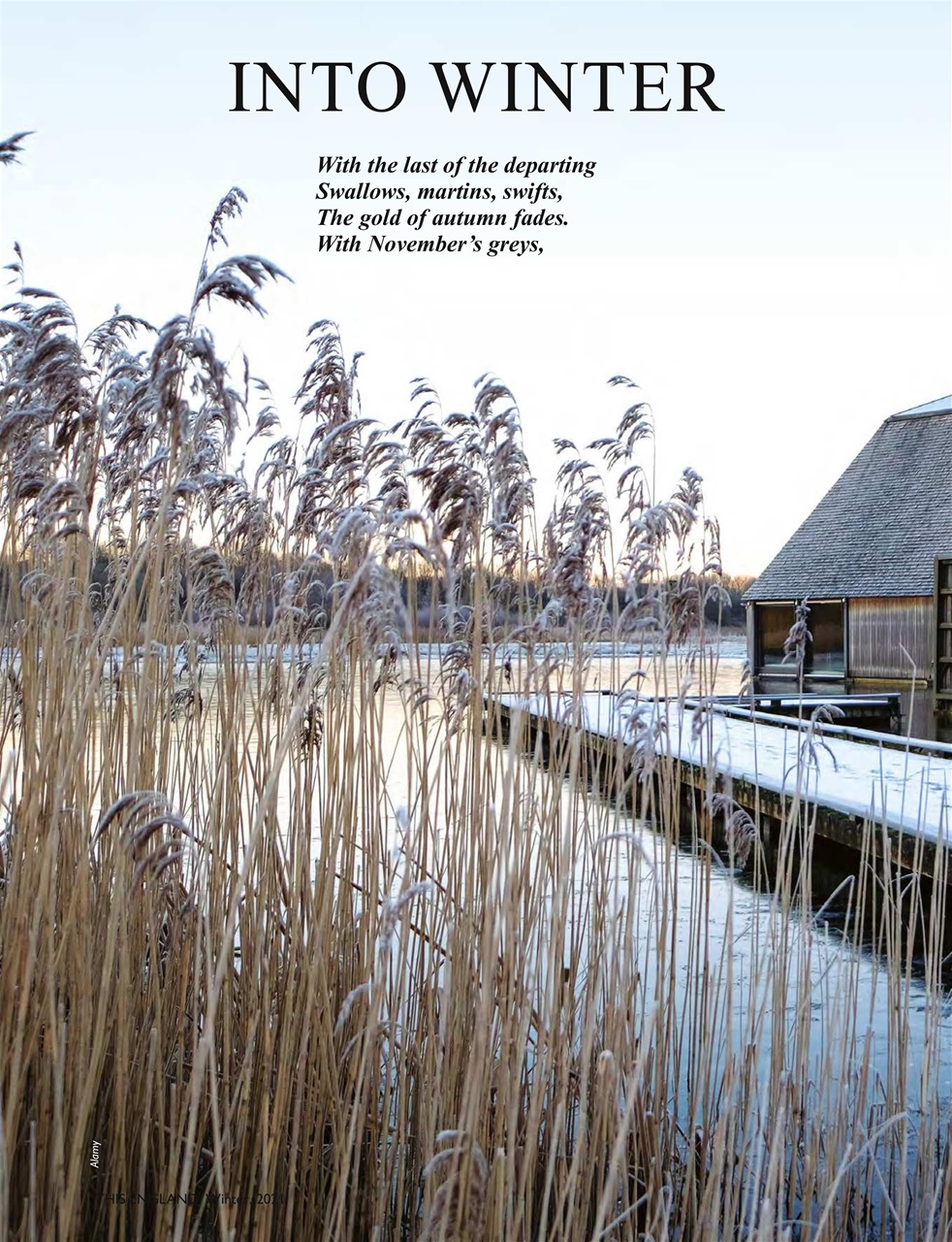 This England Preview Pages