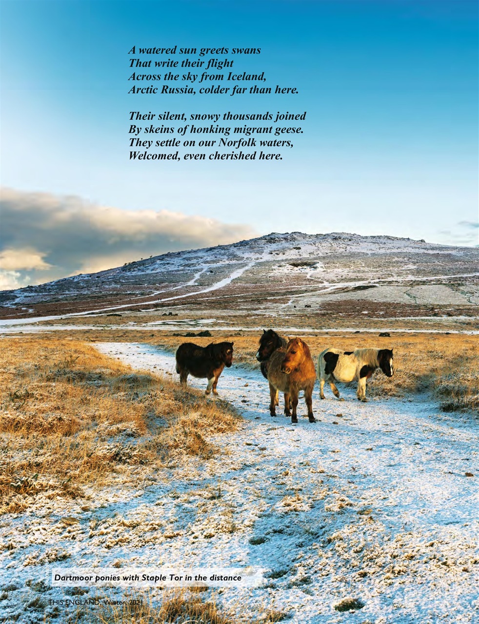 This England Preview Pages