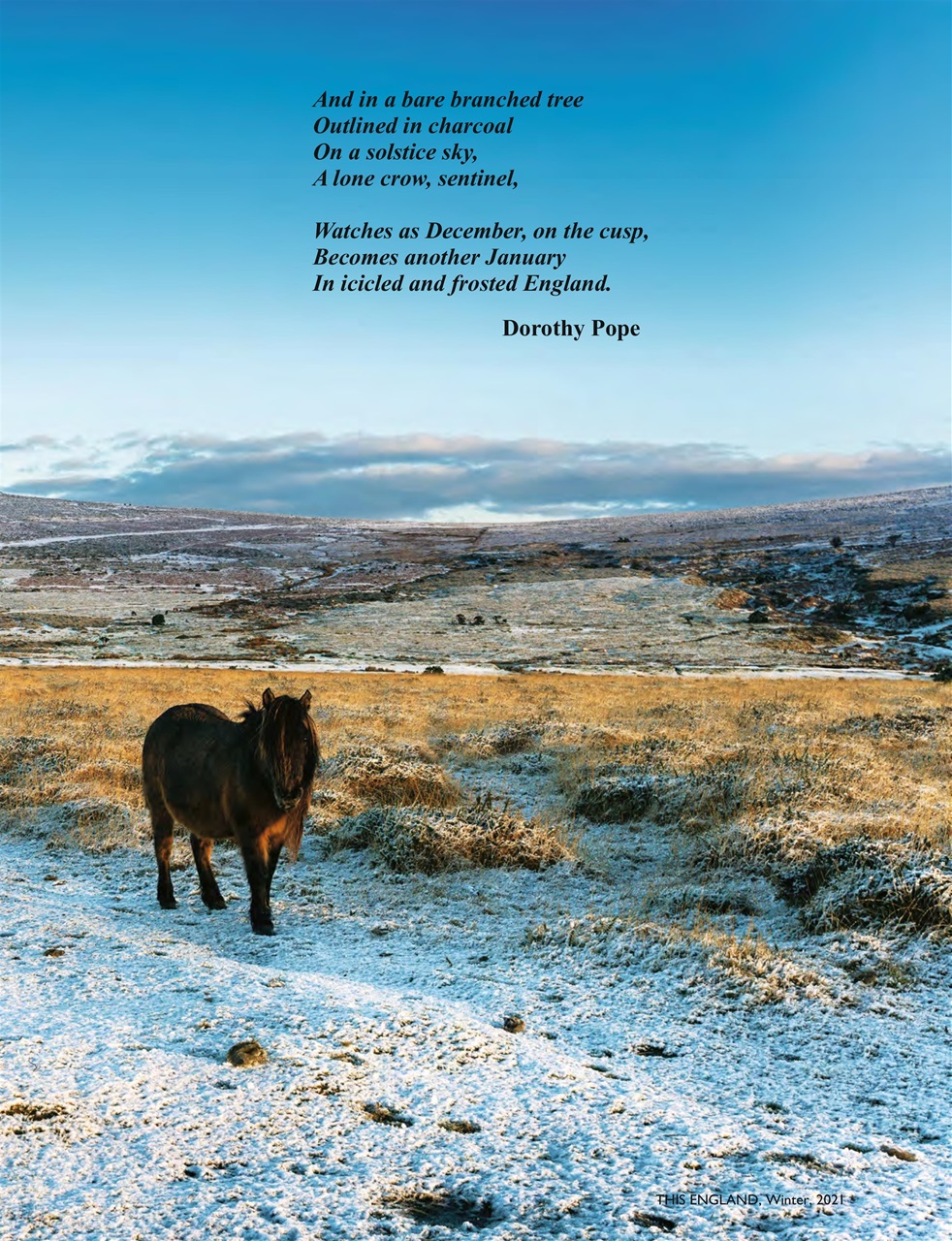 This England Preview Pages