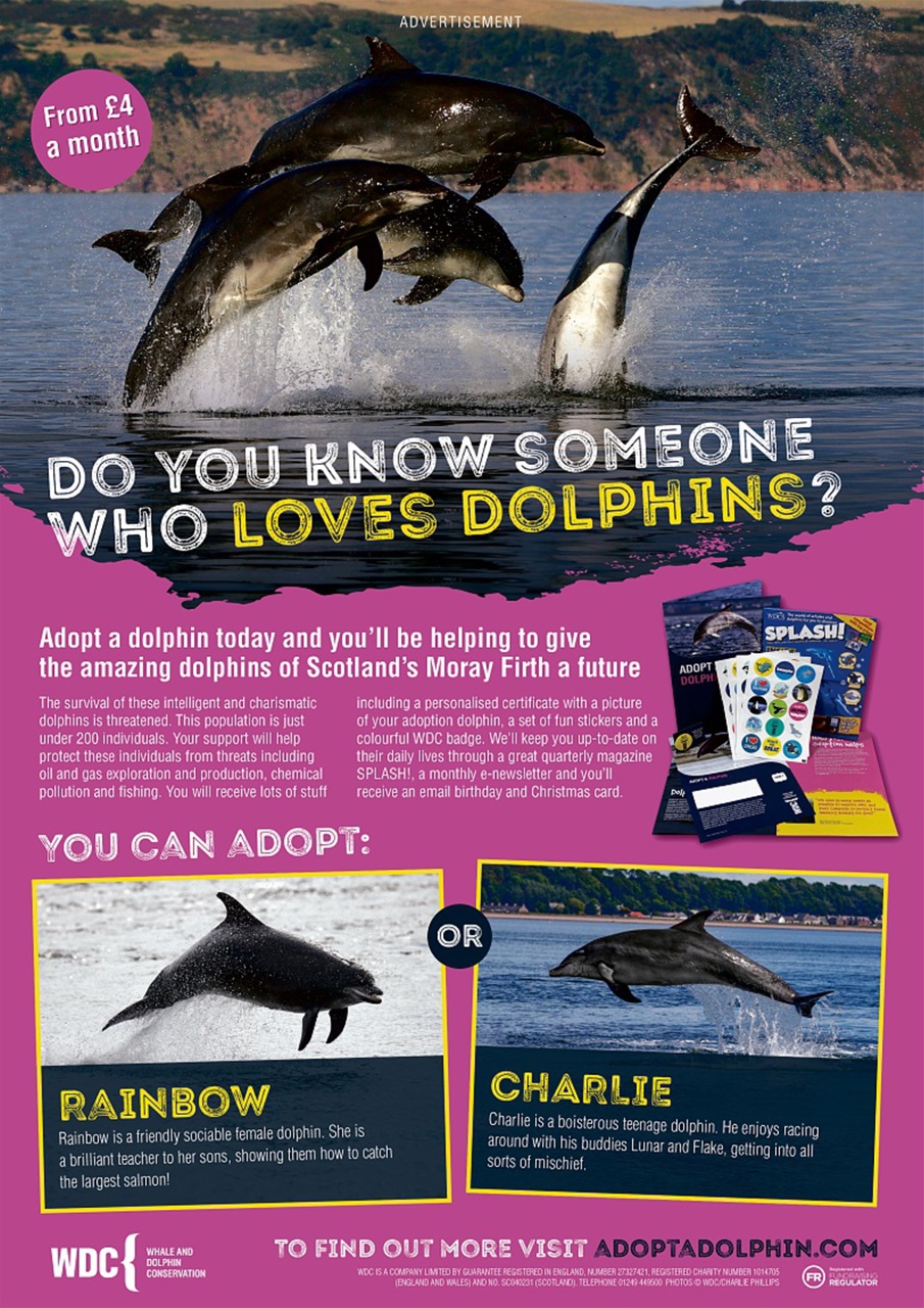 Animal Planet Kids Preview Pages