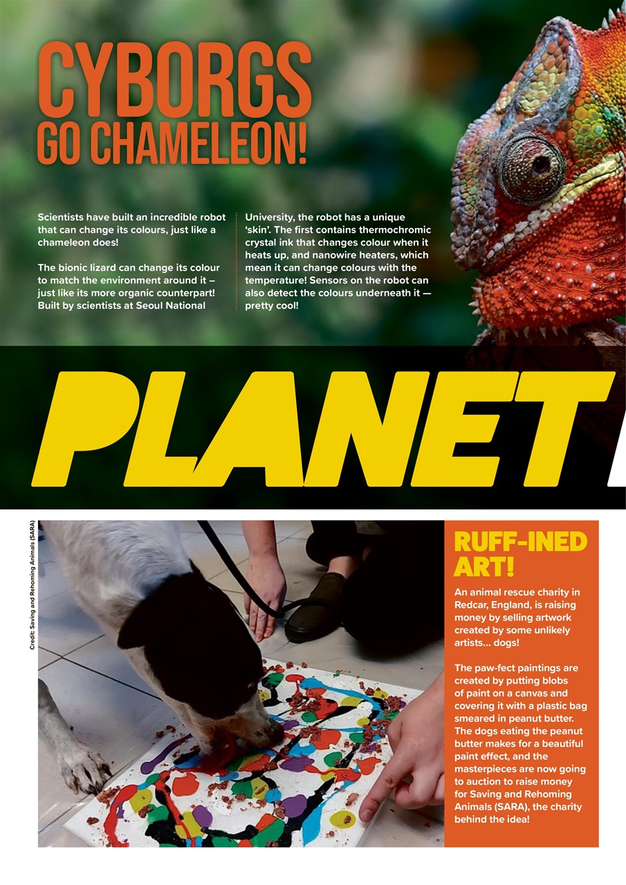 Animal Planet Kids Preview Pages