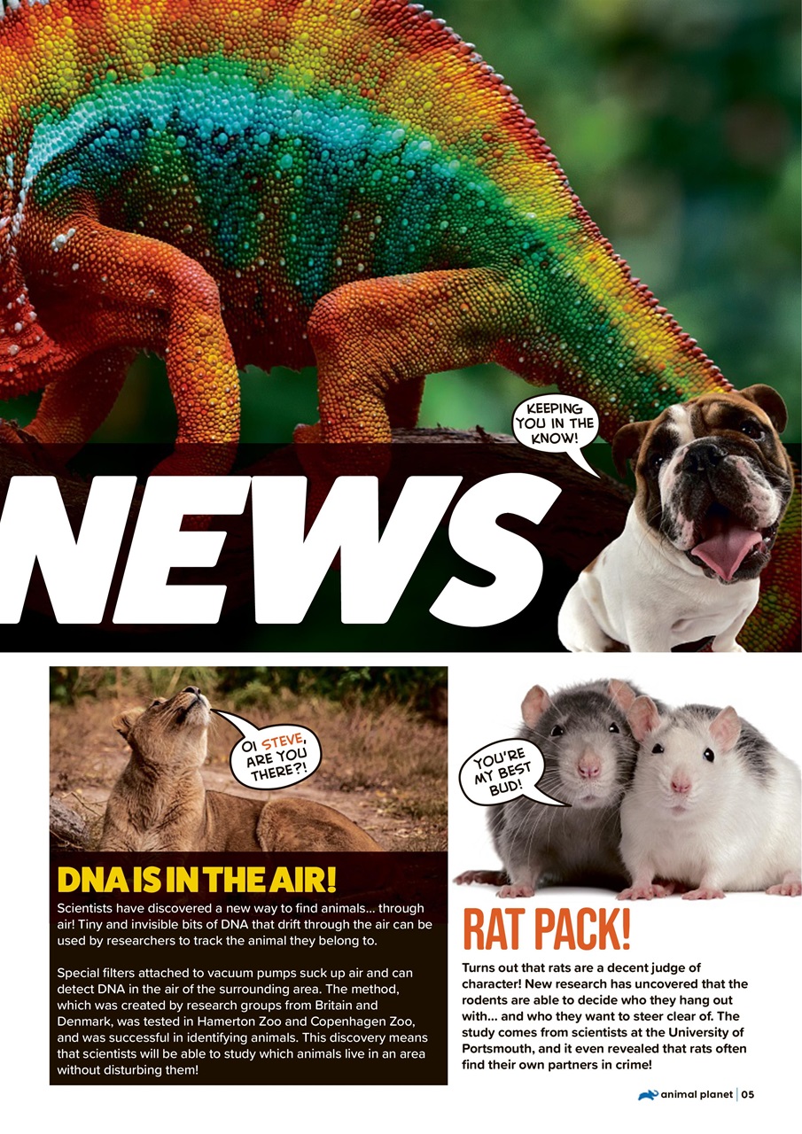 Animal Planet Kids Preview Pages