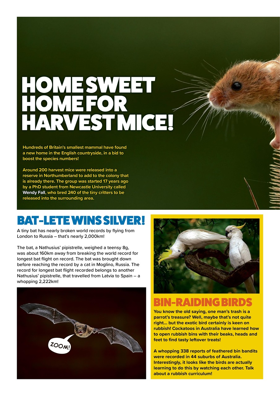 Animal Planet Kids Preview Pages