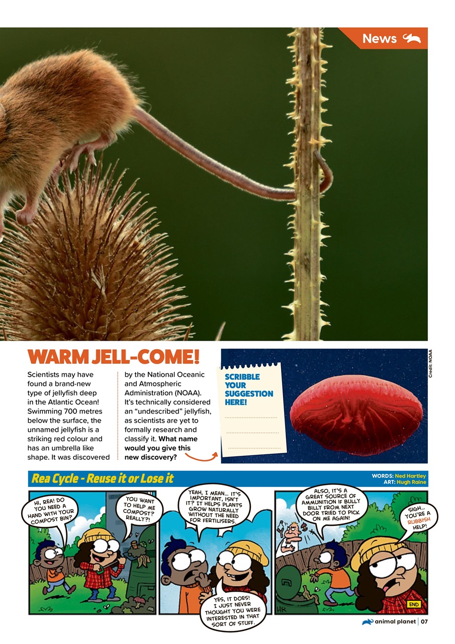 Animal Planet Kids Preview Pages