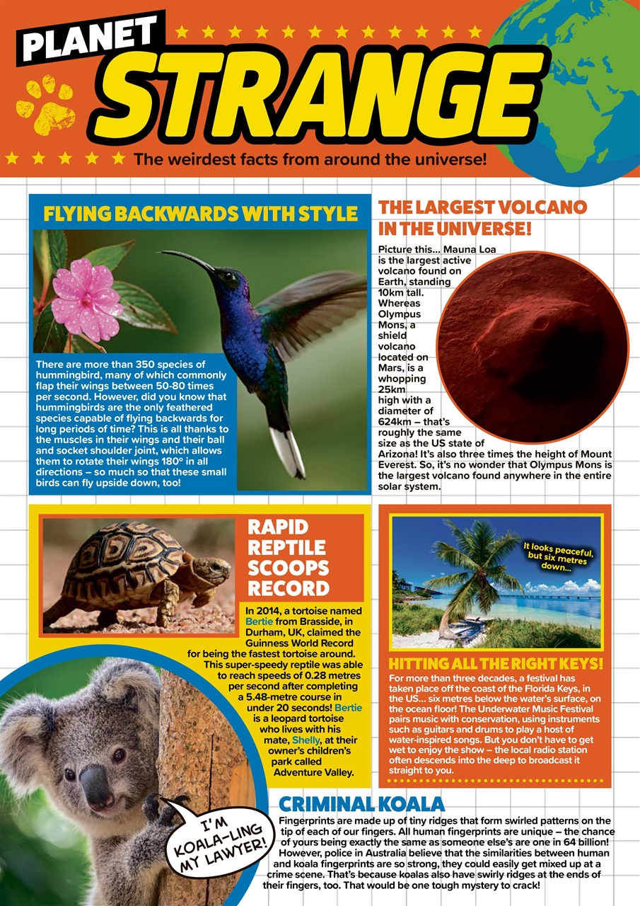 Animal Planet Kids Preview Pages