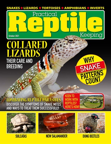 Practical Reptile Keeping issue October 2021