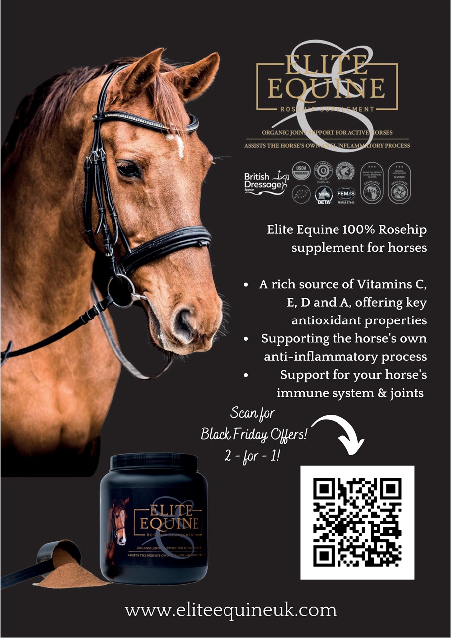 Equestrian Life Magazine Preview Pages