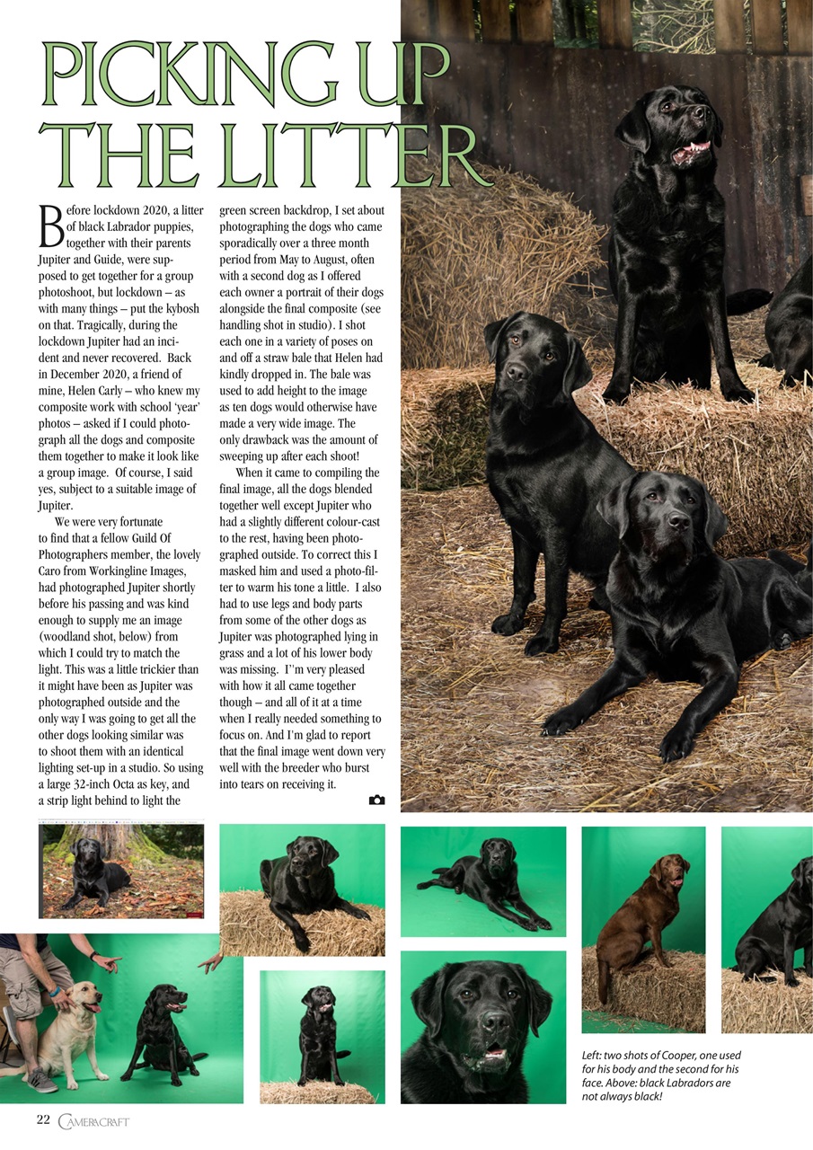 f2 Cameracraft Preview Pages
