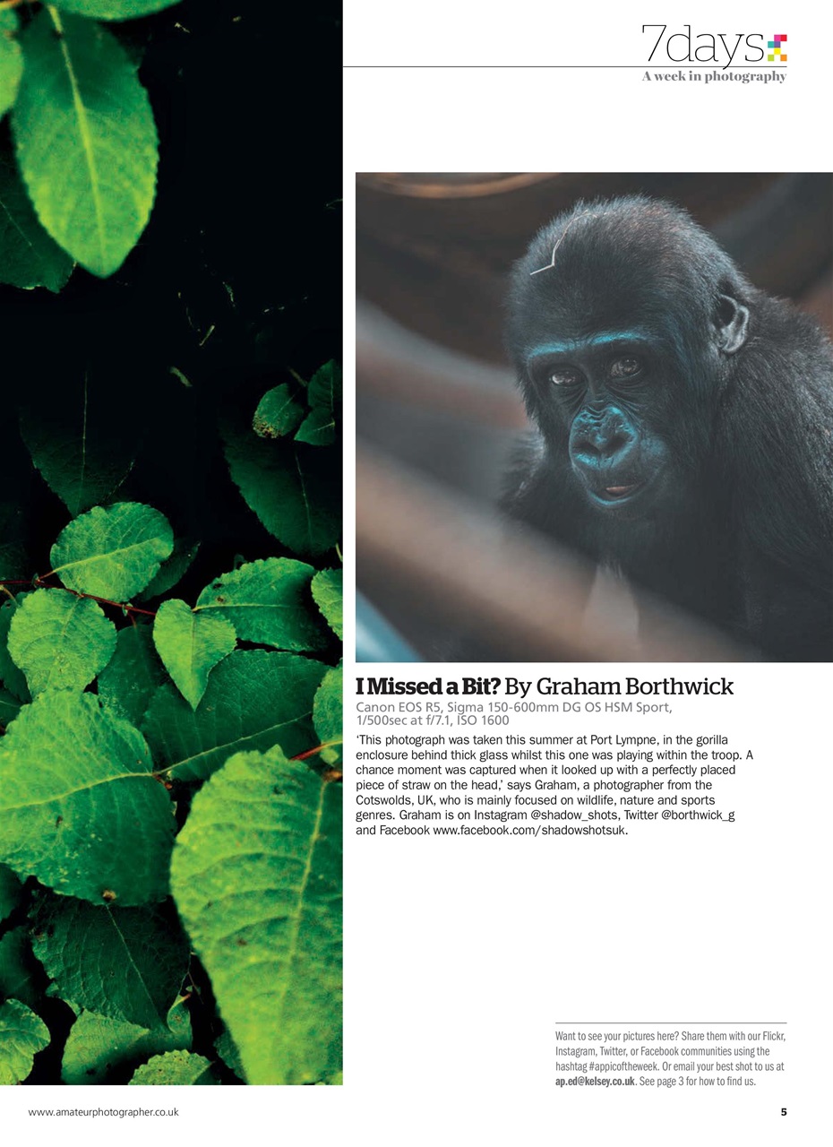 Amateur Photographer Preview Pages