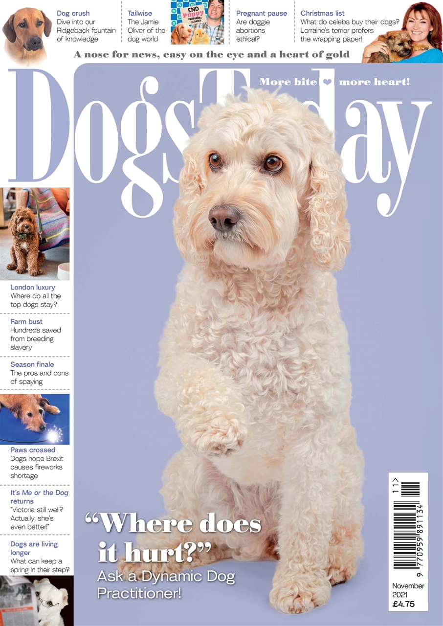 Dogs Today Magazine Preview Pages