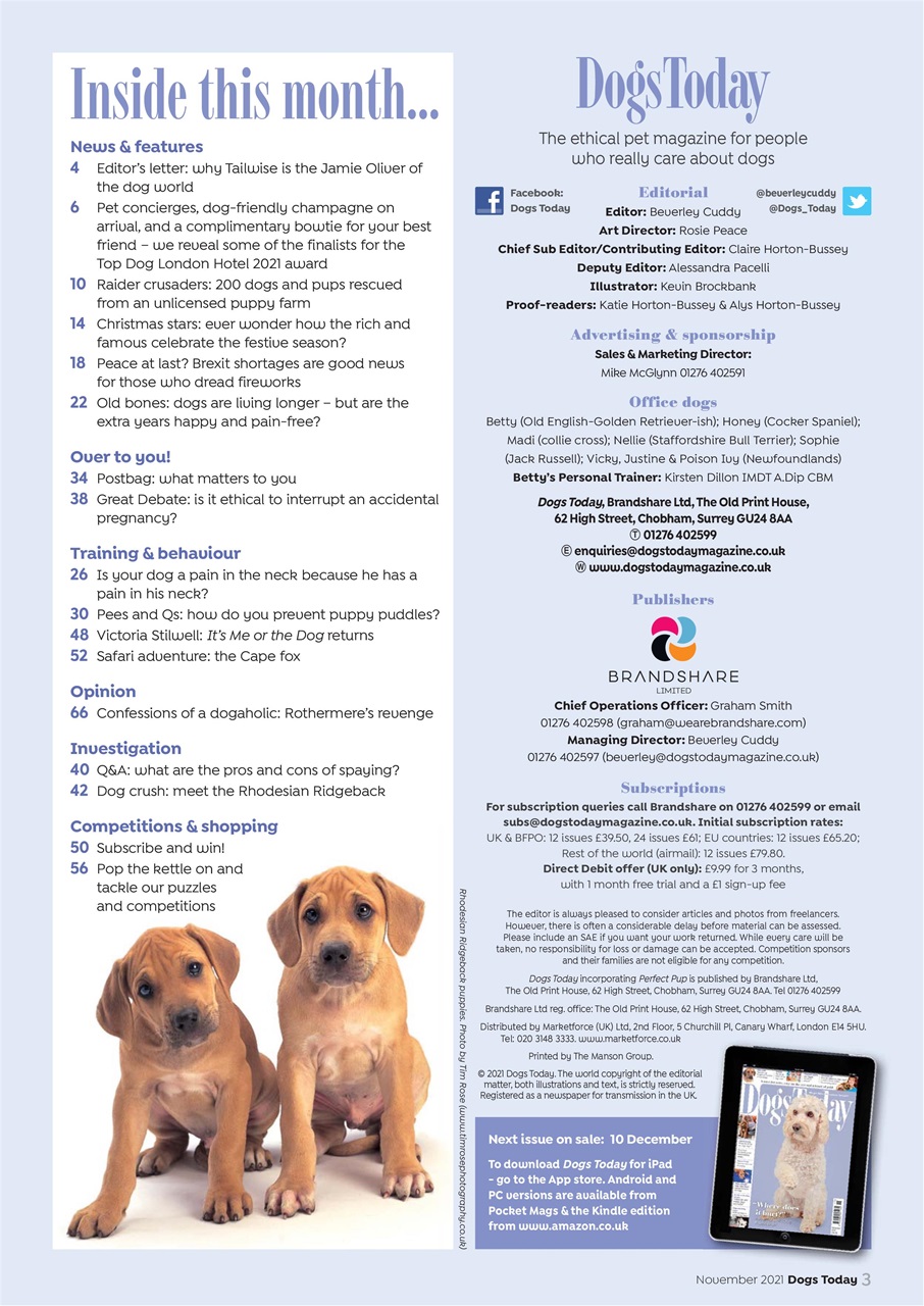 Dogs Today Magazine Preview Pages