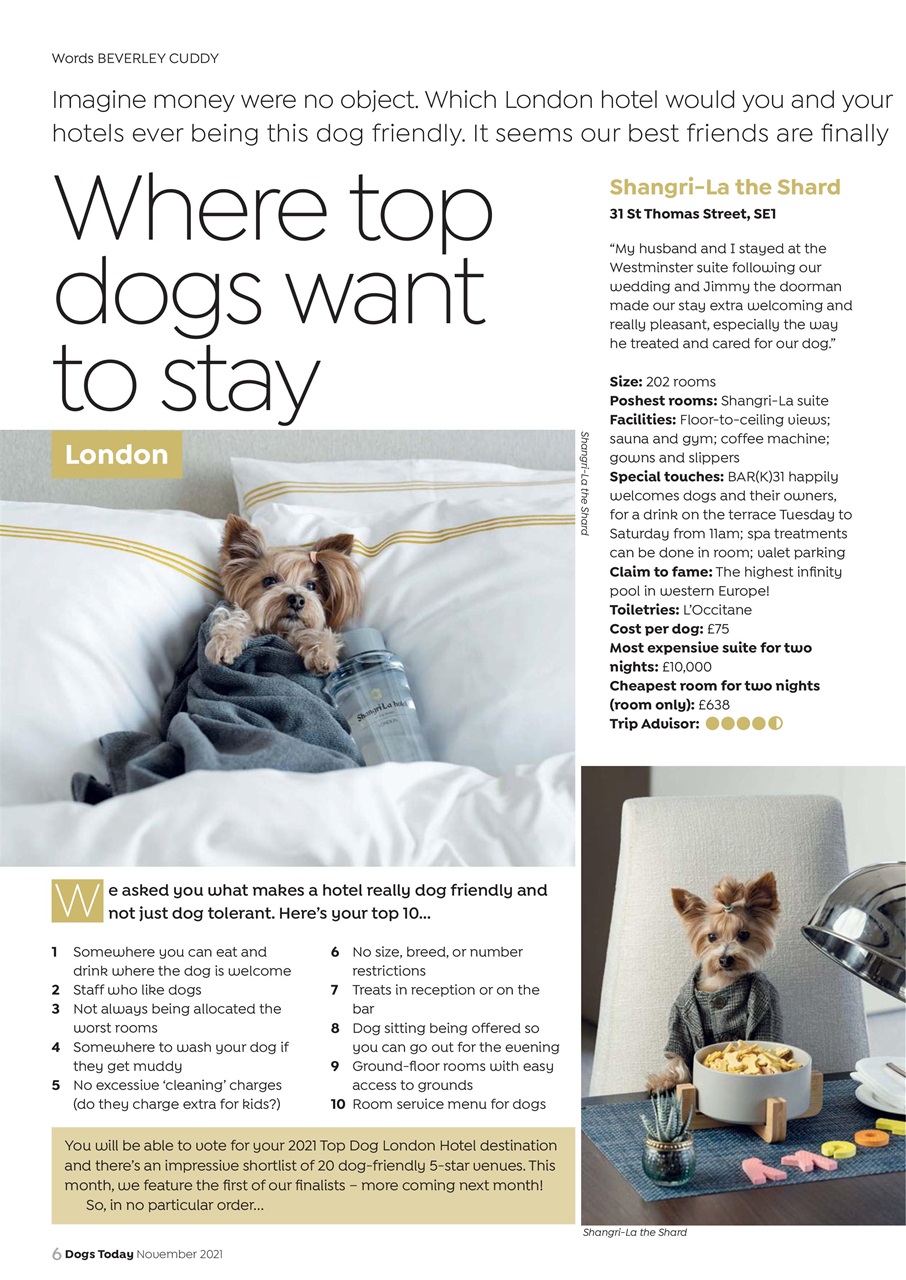 Dogs Today Magazine Preview Pages