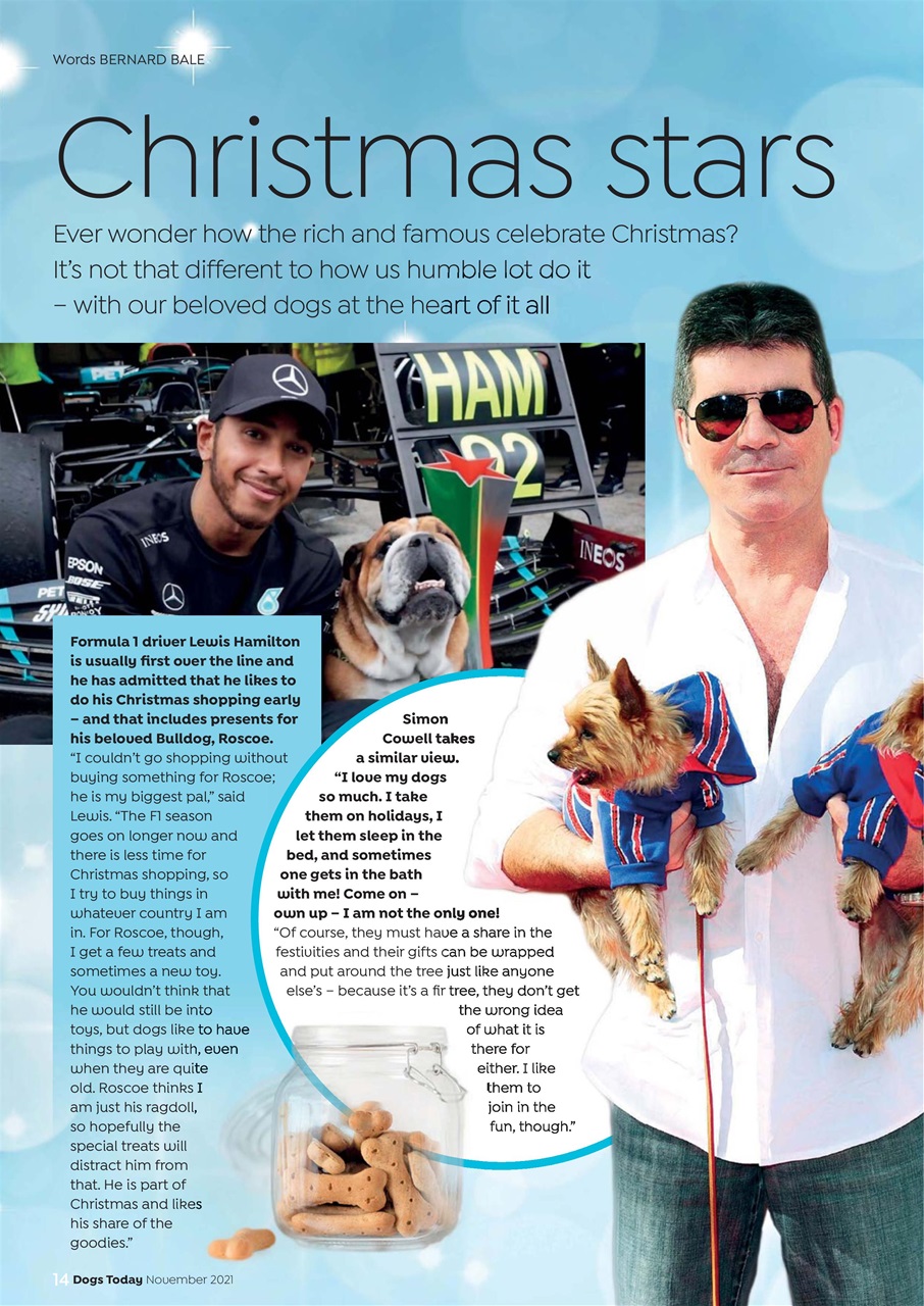 Dogs Today Magazine Preview Pages