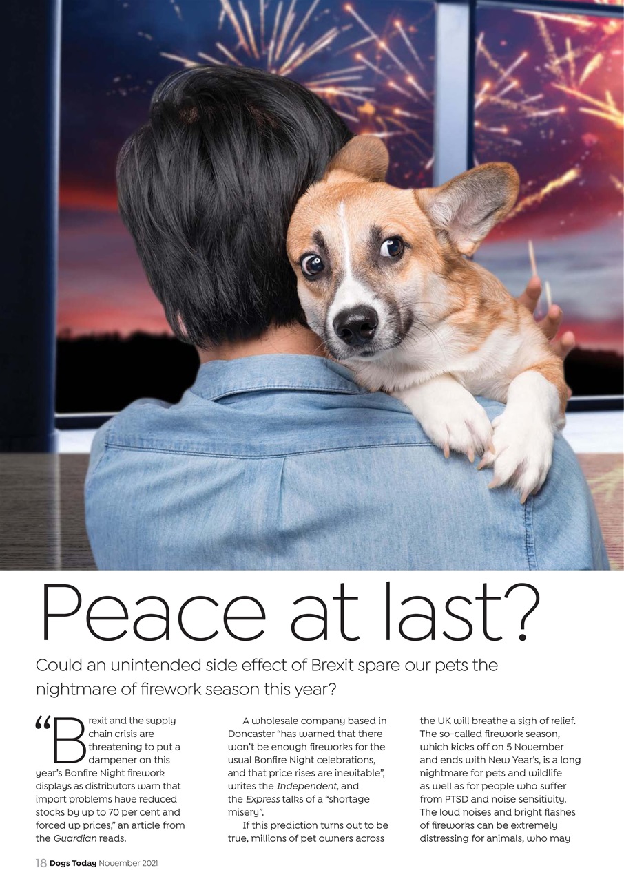 Dogs Today Magazine Preview Pages